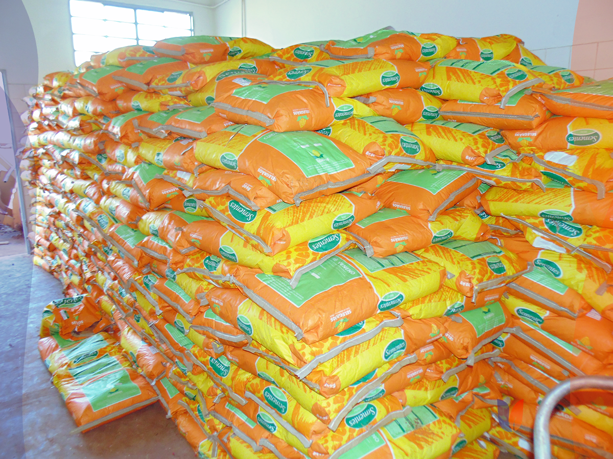 ENTREGA DE MILHO 001