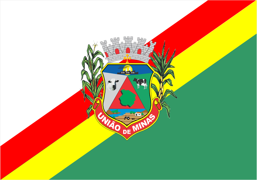 Bandeira do município
