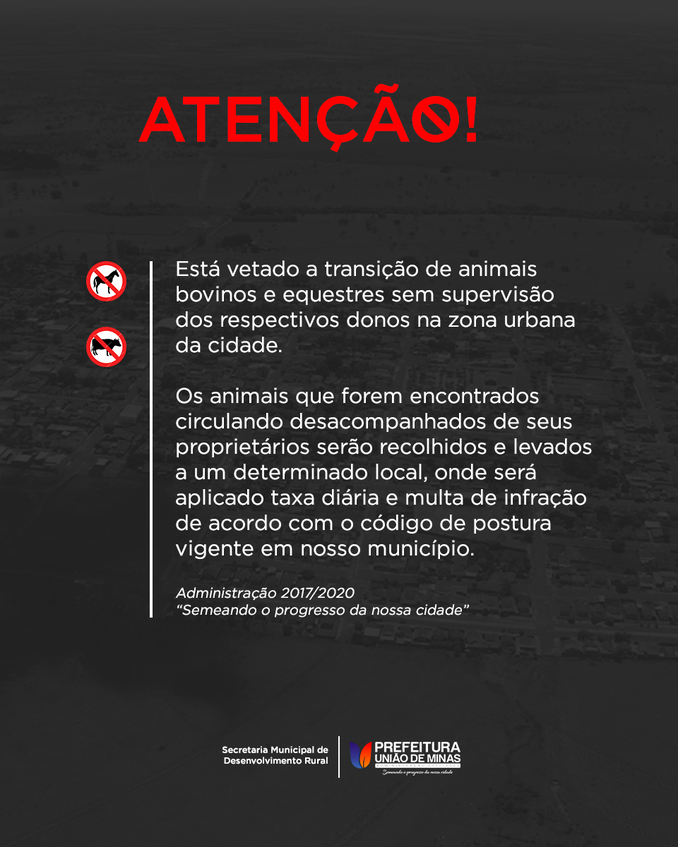 ANIMAIS SOLTOS