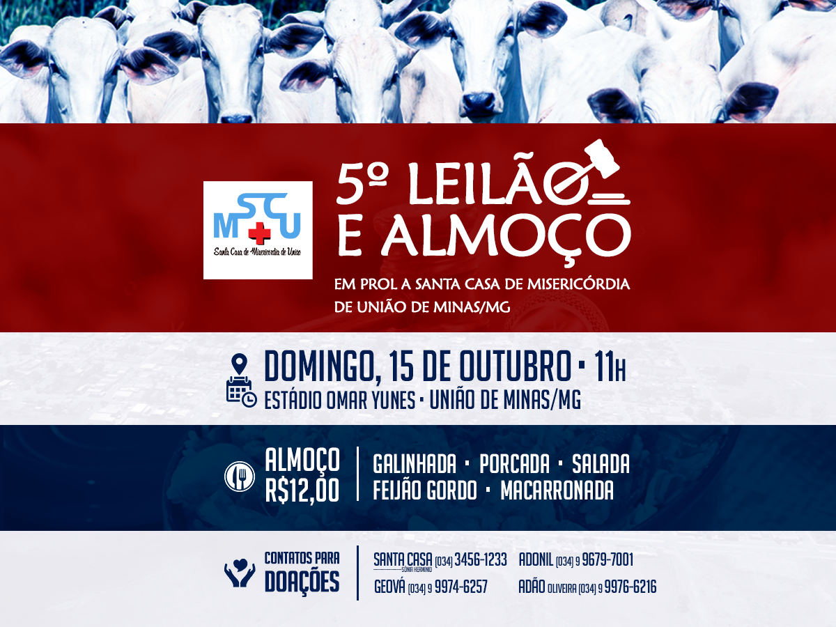 Leilão em prol a Santa Casa