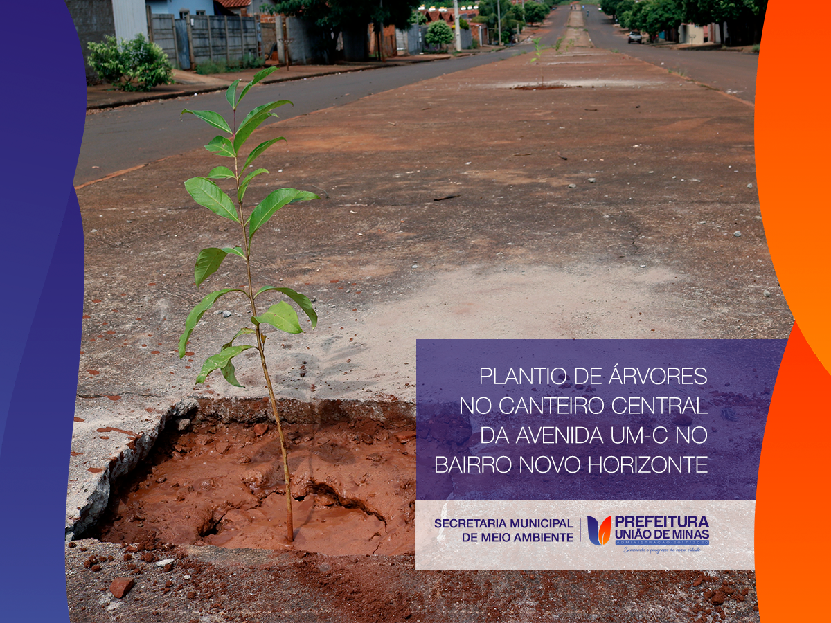 PLANTIO DE ÁRVORES AVENIDA UM-C
