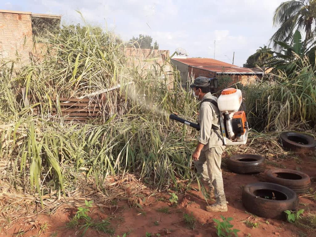 combate-geova-27-03 (2).jpeg